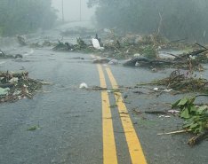 Tree branches in debris on roadway in the pouring rain